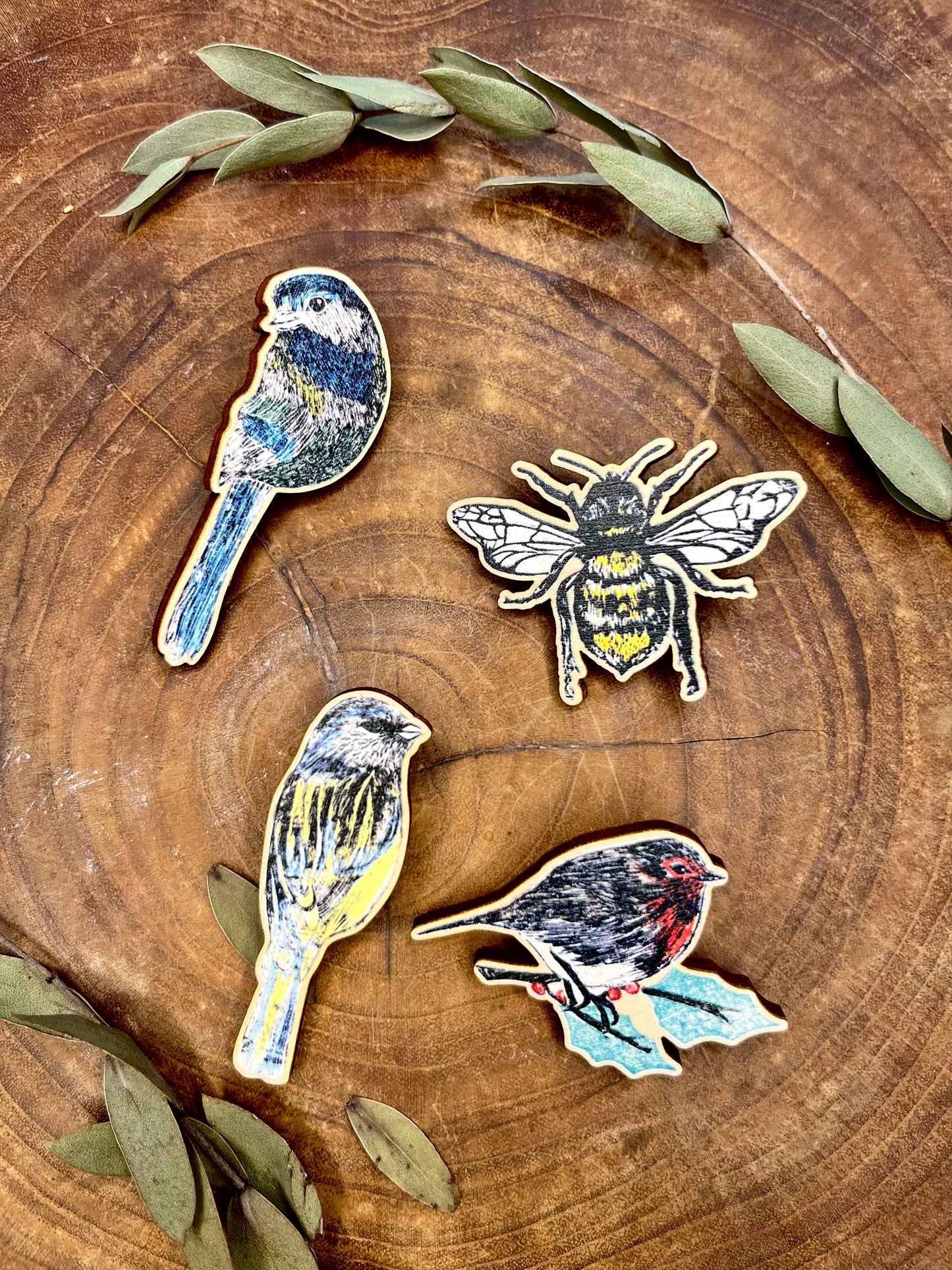 Blue Tit Wooden Pin badge